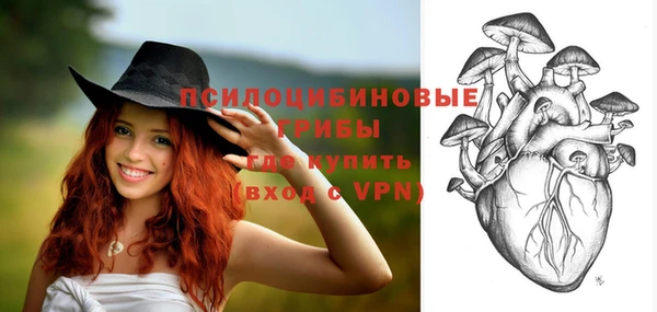 гидропоника Бугульма