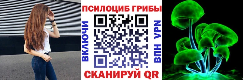 Галлюциногенные грибы Psilocybe  Купить закладки  Мензелинск 